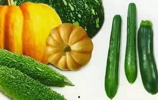 老贺吃瓜 第1张 老贺吃瓜 第1张